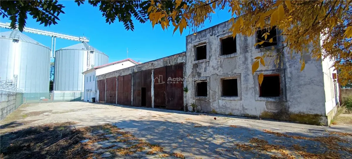 2 Complexuri multifunctionale de inchiriat â€“ ultracentrale Moldova Noua - foto 10