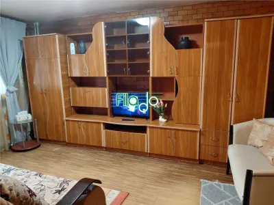 Apartament 2 camere Pantelimon, Piata Delfinului - foto 2