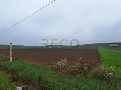 RECO teren Ghenetea 7800mp - foto 1