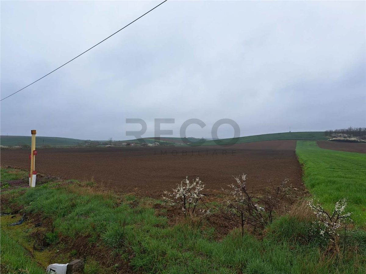 RECO teren Ghenetea 7800mp - Ghenetea