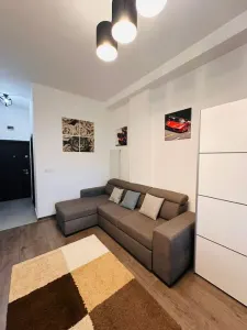 Apartament cu 1 camera- Zona Tatarasi - foto 3