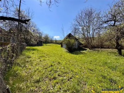 Casa traditionala,zona pitoreasca,domeniu de 3.400 mp,Suveica,Acatari,Mures - foto 18