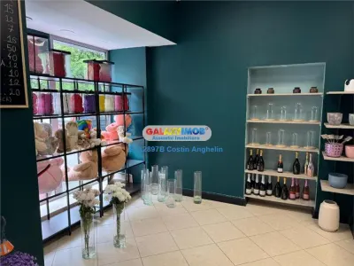 Spatiu comercial stradal cu vitrina generoasa - Calea Mosilor - foto 2