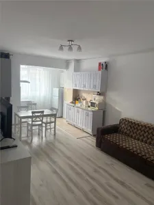 Inchiriere apartament  2 camere zona Vest - foto 4
