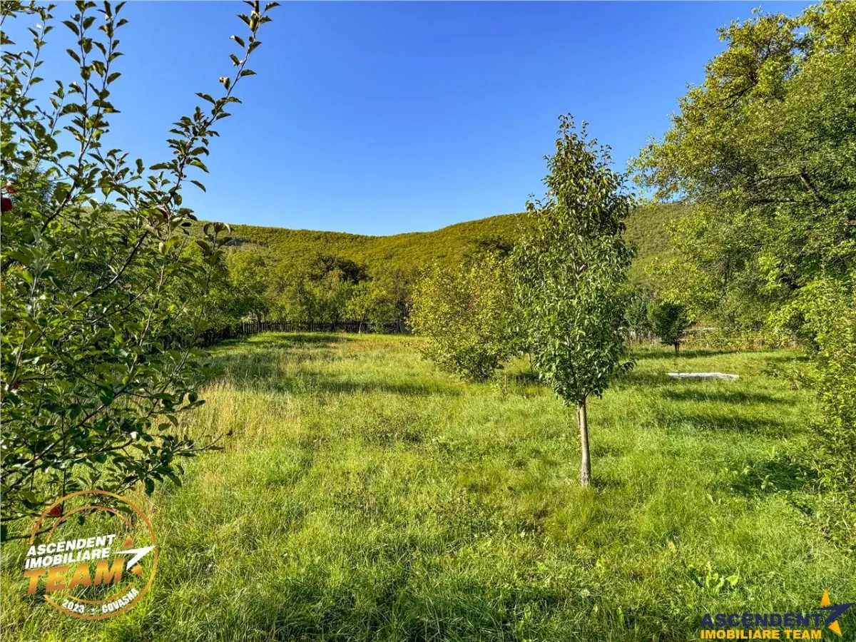 FILM! 3.000 mp teren intravilan cu proprietate traditionala de poveste,Zagon,Covasna - foto 17