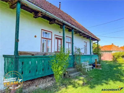 FILM! 3.000 mp teren intravilan cu proprietate traditionala de poveste,Zagon,Covasna - foto 7