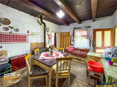 FILM! Proprietate traditionala,de poveste,cu 3.000 mp teren intravilan,Zagon,Covasna - foto 11