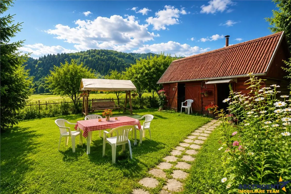 FILM &Tur LIVE! Casa de vacanta, intr- o ariere admirabila, Lunca Bradului, Mures - foto 1