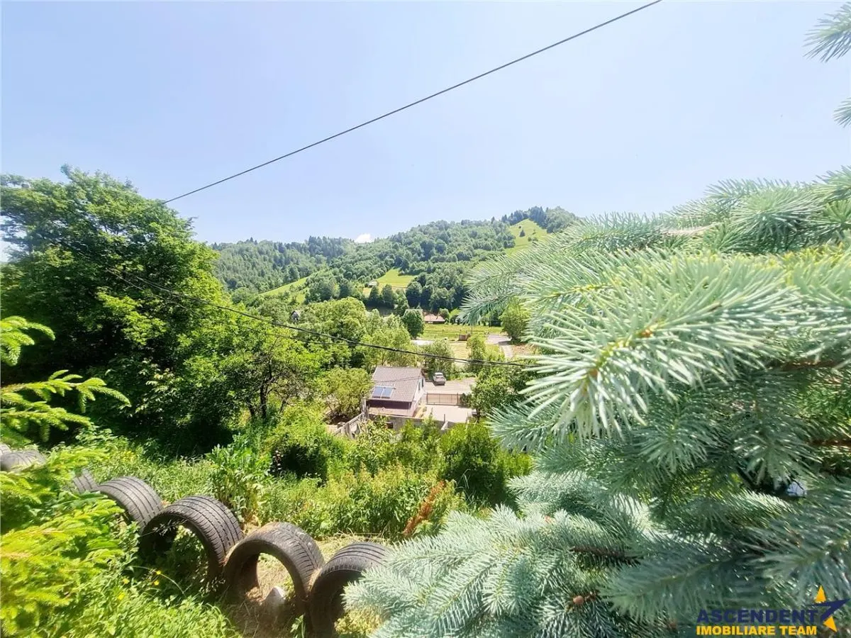 View superb:intravilan,constructie rezidenta/hotel,2.327 mp,Moieciu de Jos, Bran - foto 15