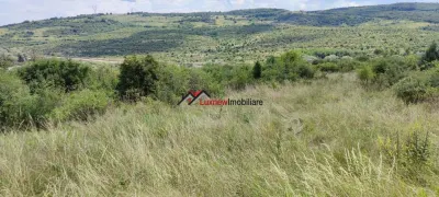 Teren Intravilan 586 mp în Rădaia ! Doar 31.000 â‚¬ ! Zonă în plina dezvoltare! - foto 3