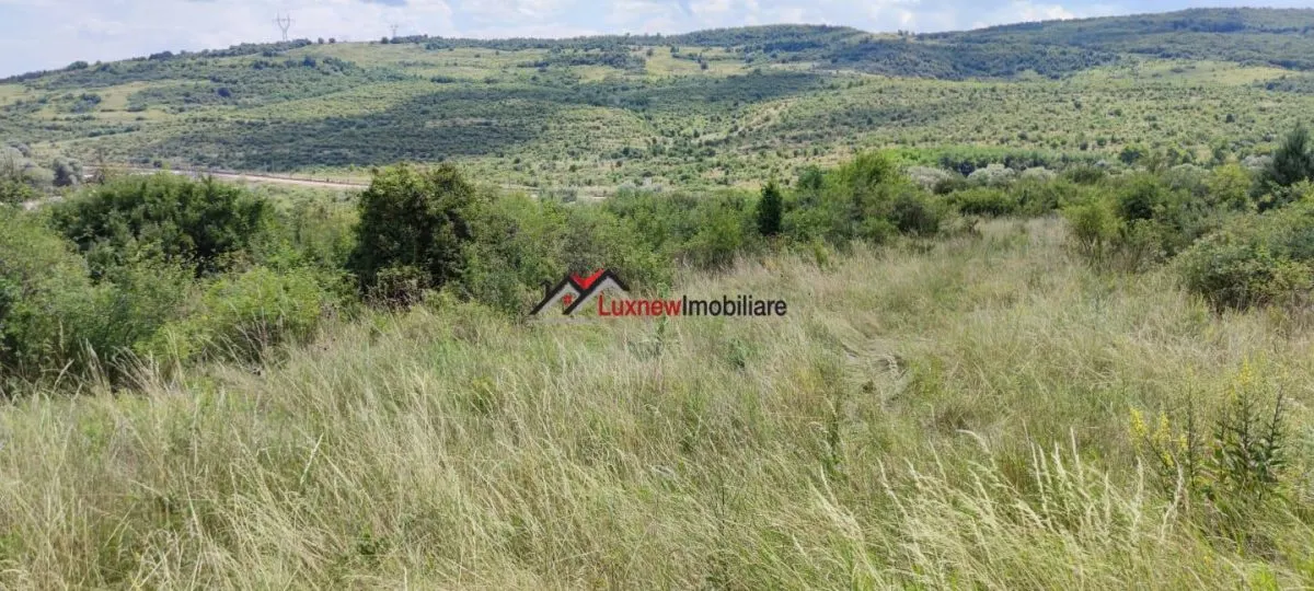 Teren Intravilan 586 mp în Rădaia ! Doar 31.000 â‚¬ ! Zonă în plina dezvoltare! - foto 3
