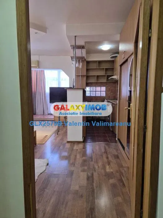 Garsoniera Pantelimon/Aleea Dobrina cod GLX 1 - foto 9